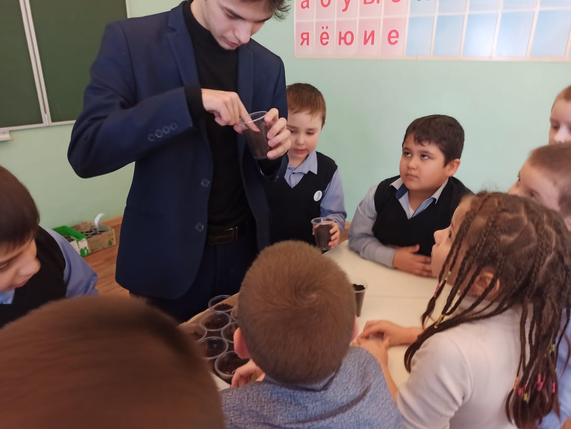посадка семян растений